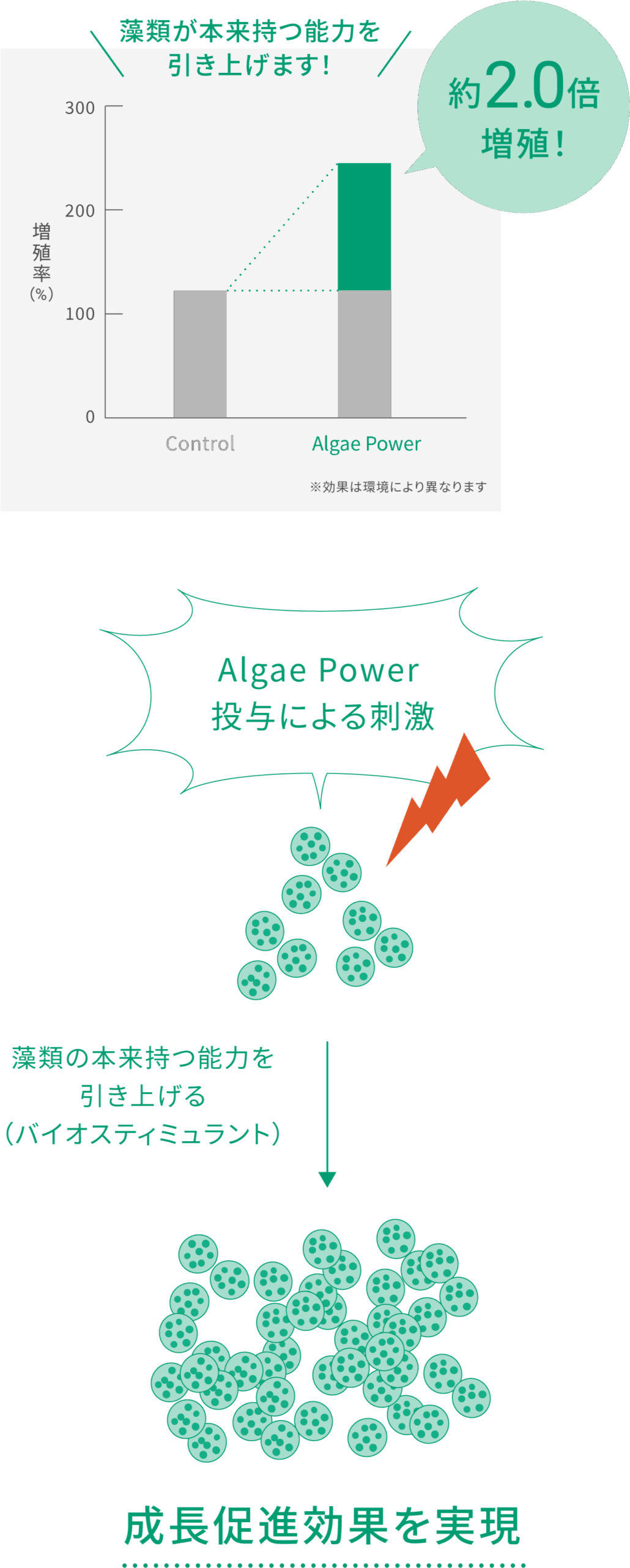 約2.0倍増殖！