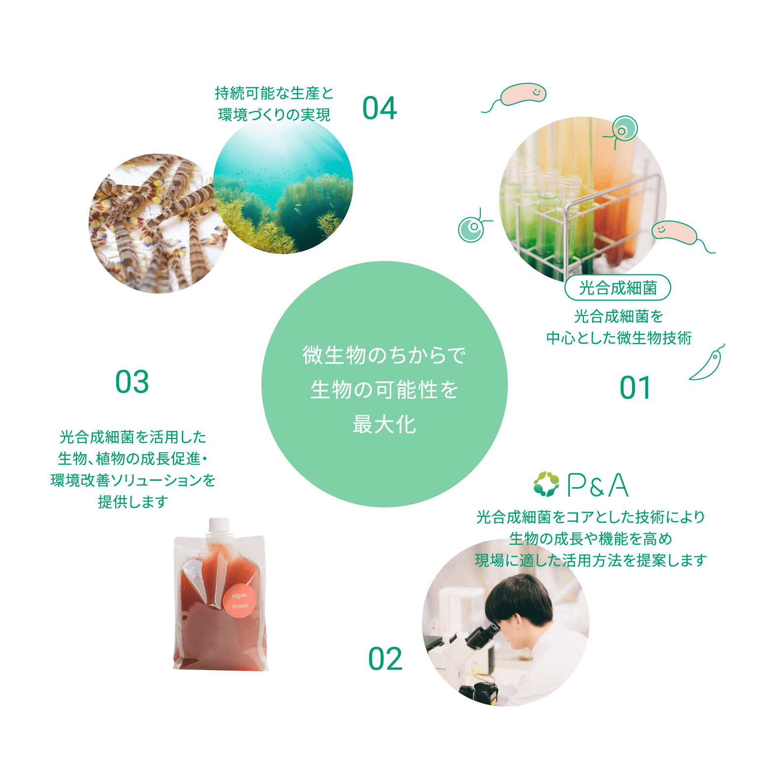微生物のちからで生物の可能性を最大化