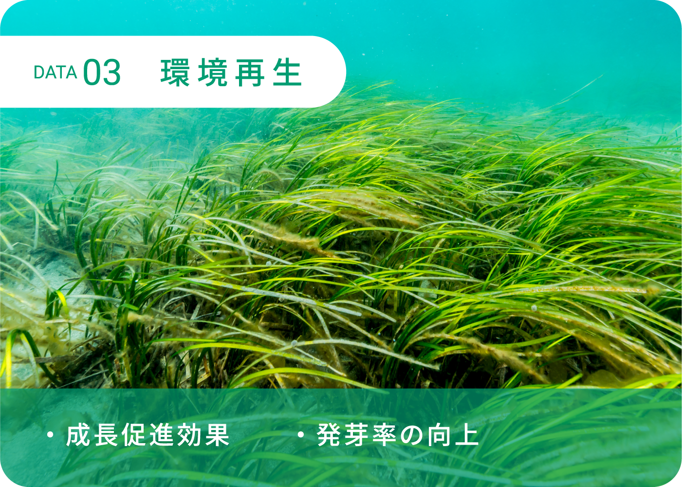 DATA3 環境再生