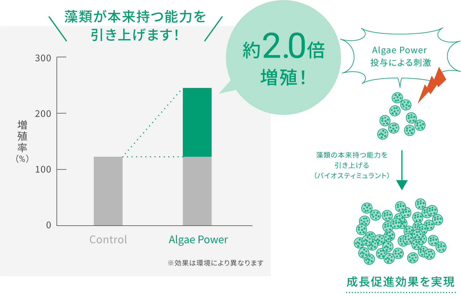 約2.0倍増殖！