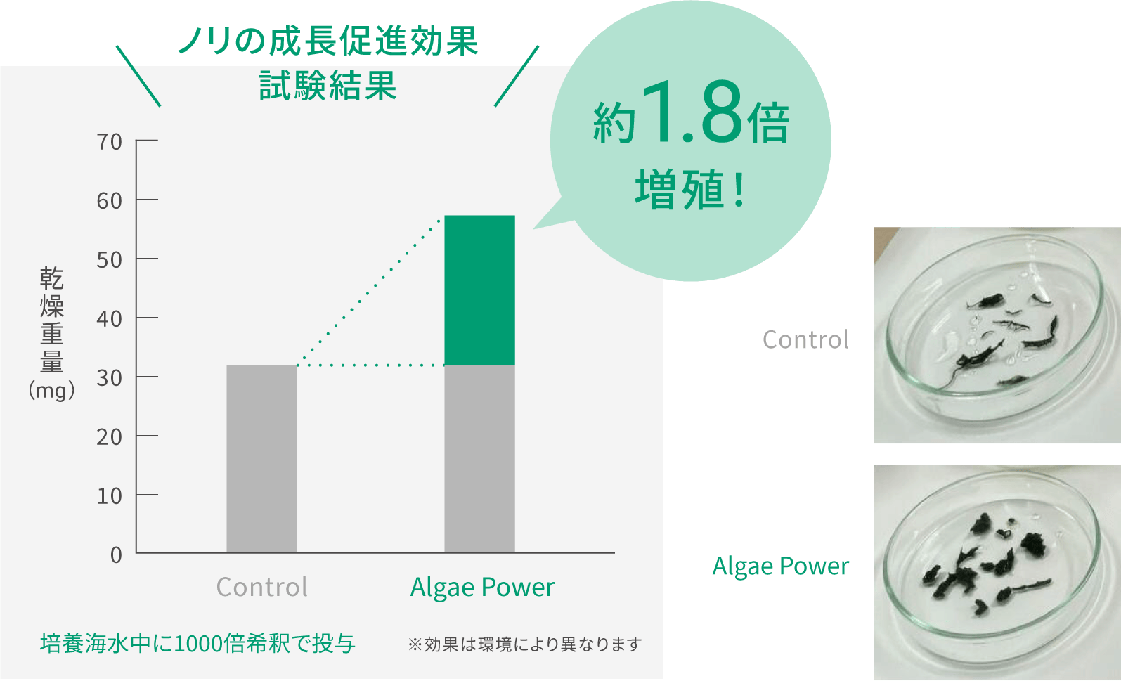 約1.8倍増殖！