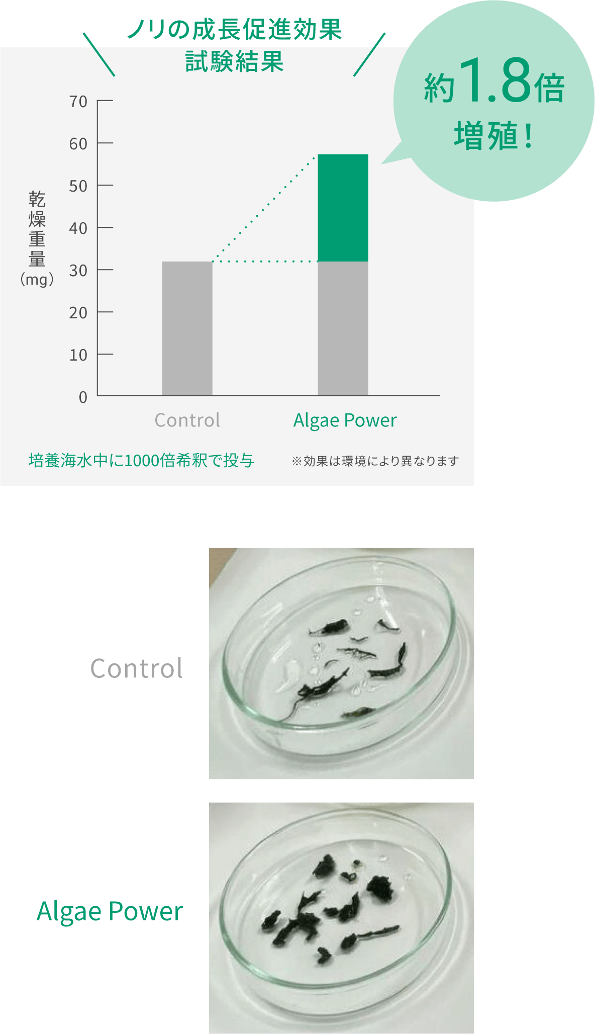 約1.8倍増殖！